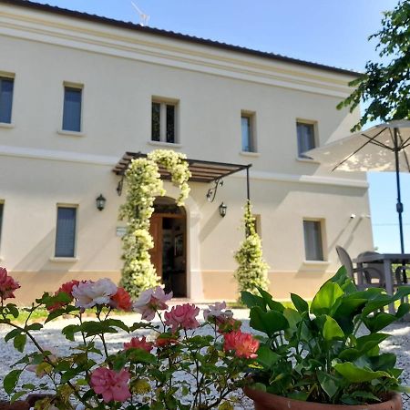 Villa Marietta Country House - Marche 몬테마기오레알메타우로 외부 사진