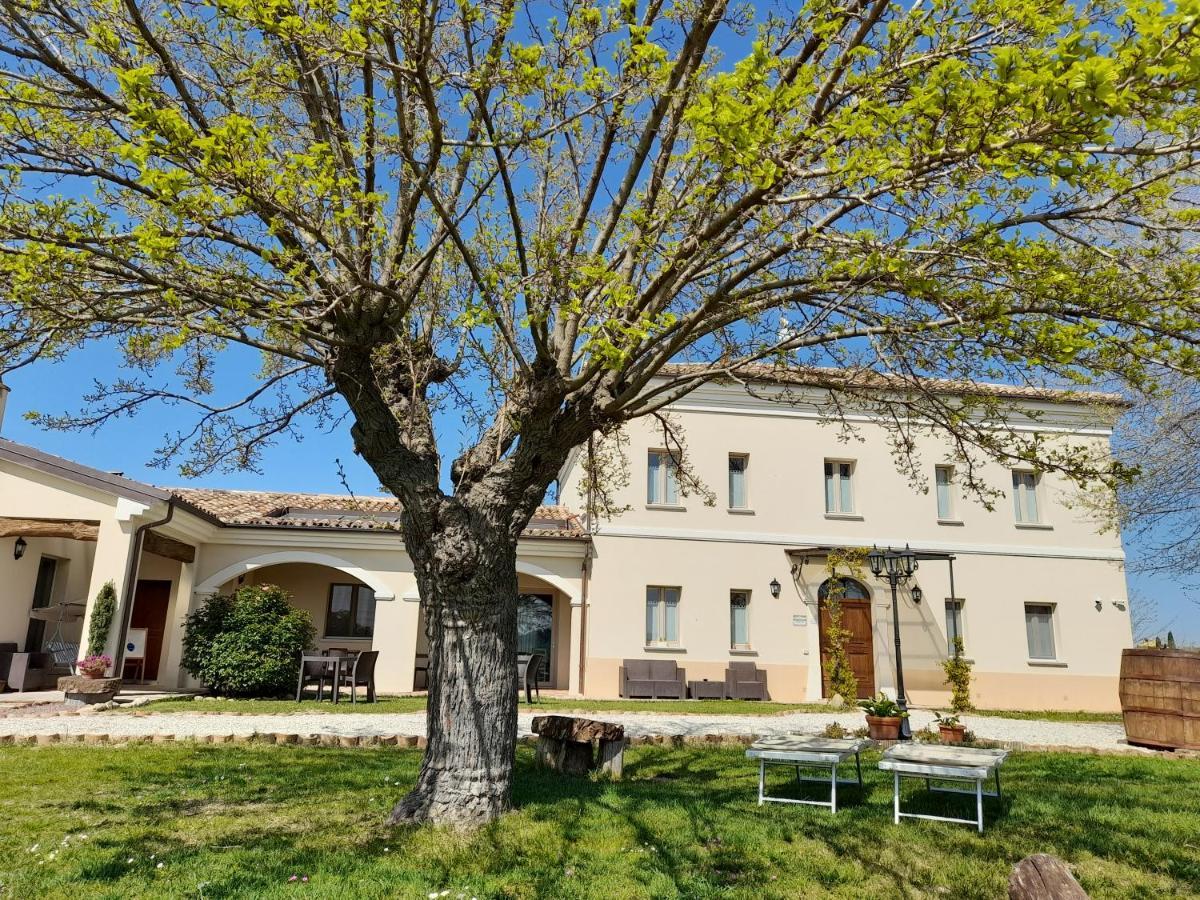 Villa Marietta Country House - Marche 몬테마기오레알메타우로 외부 사진