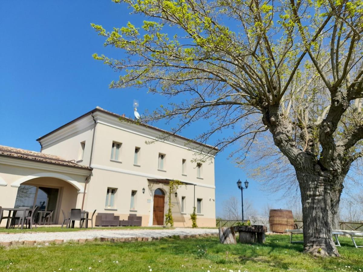 Villa Marietta Country House - Marche 몬테마기오레알메타우로 외부 사진