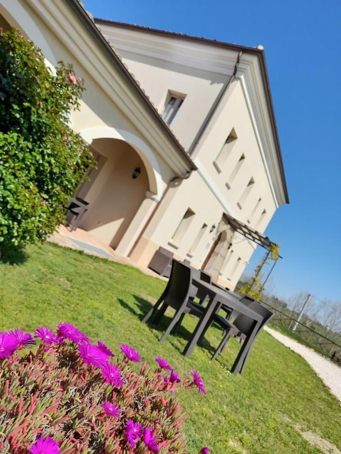 Villa Marietta Country House - Marche 몬테마기오레알메타우로 외부 사진
