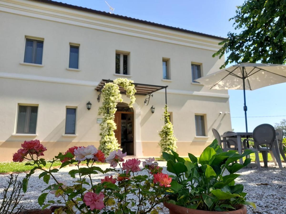 Villa Marietta Country House - Marche 몬테마기오레알메타우로 외부 사진